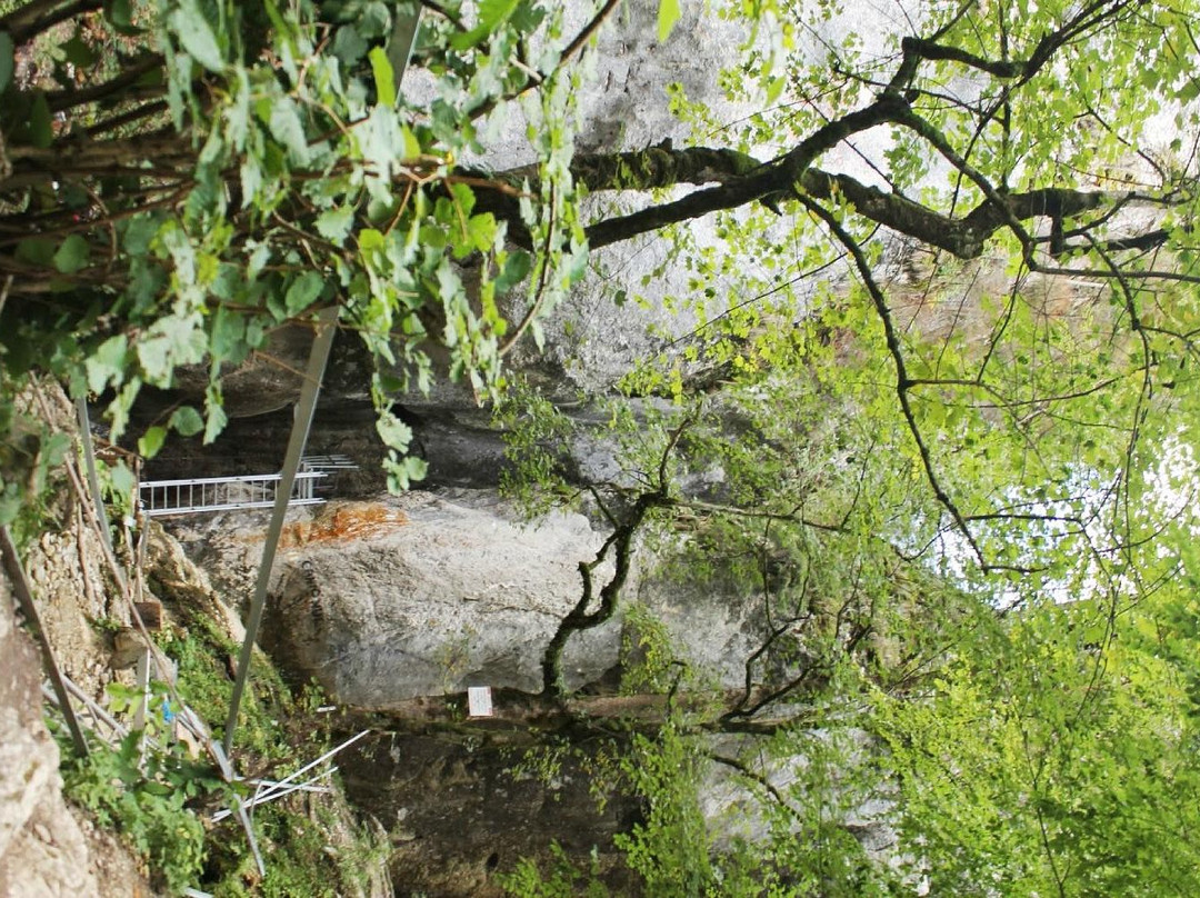 Timisu de Sus旅游攻略图片