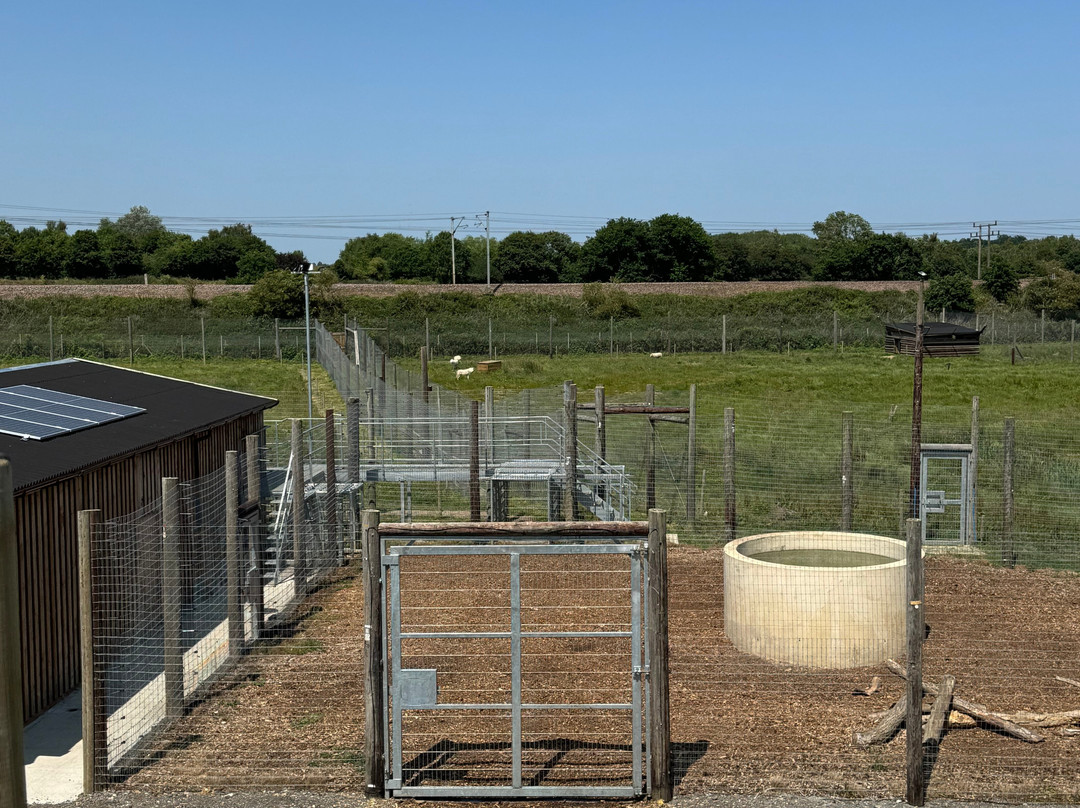 Jimmy's Farm & Wildlife Park景点图片