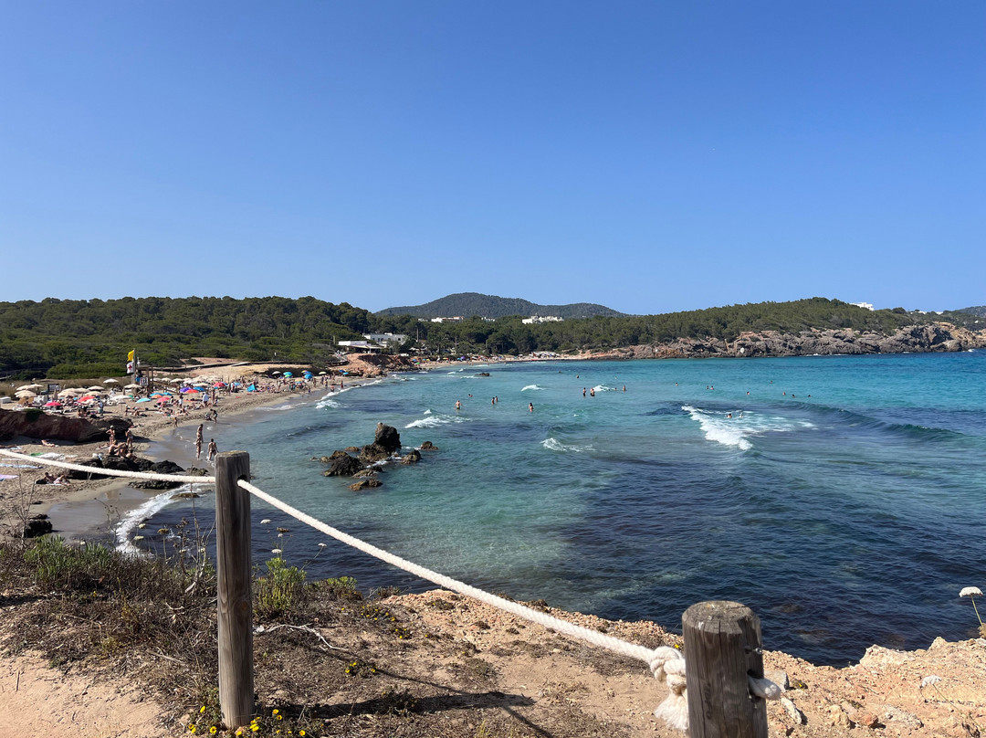 Cala Nova景点图片