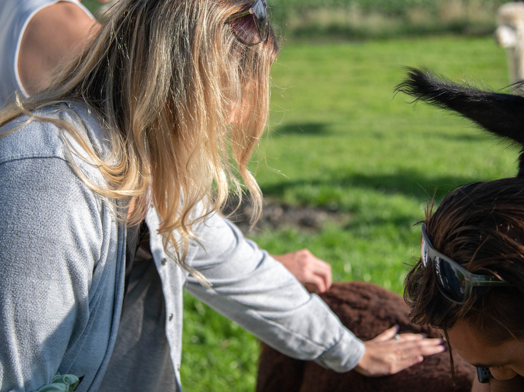 Cherry Lane Acres-圣玛丽必去景点