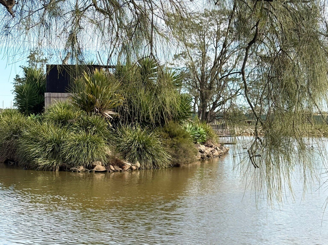 Oakvale Wildlife Park-威廉斯顿必去景点