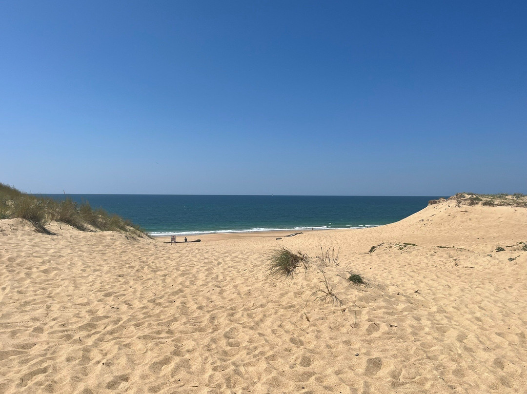Chapelle Sainte Thérèse-Labenne必去景点