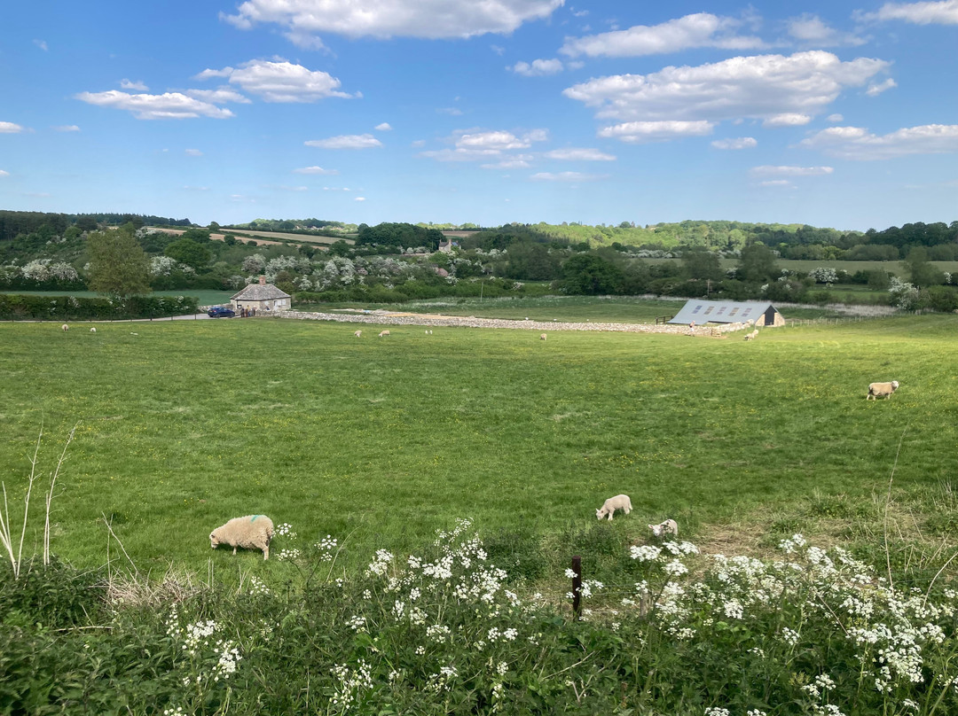 North Leigh Roman Villa-威特尼必去景点