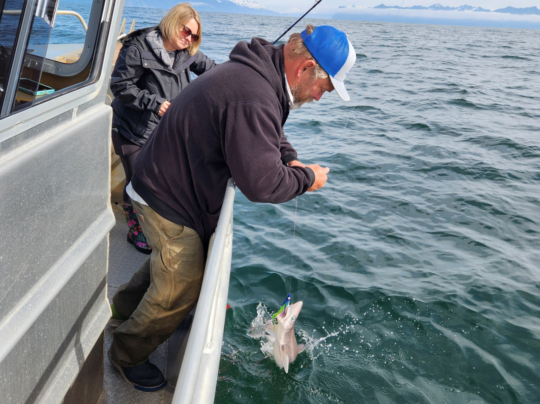 Blue Ice Alaska Charters LLC-苏厄德必去景点