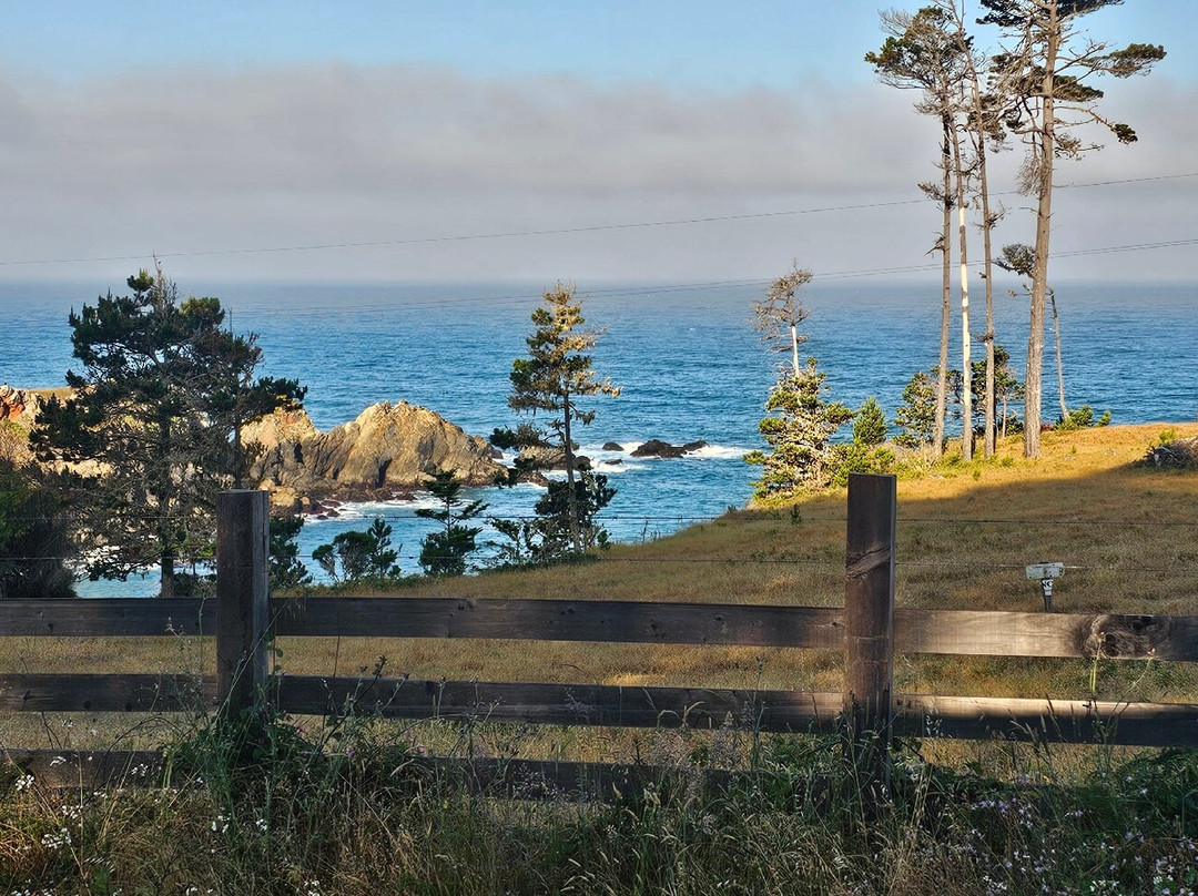 Tomales Point Trail-Point Reyes Station必去景点
