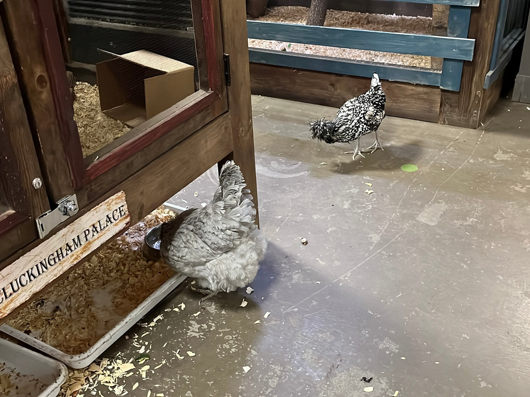 Sustainable Safari-Maplewood必去景点