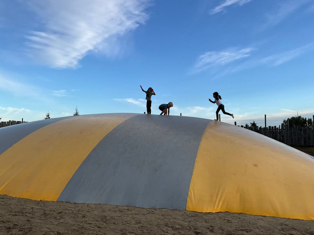 Sassy G's Adventure Farm-斯普鲁斯格罗夫市必去景点