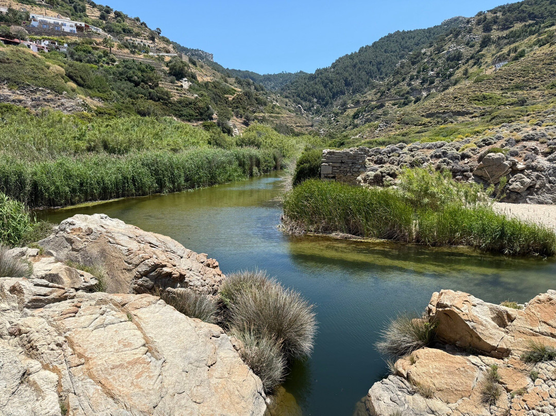 Thea's Inn of Ikaria主图