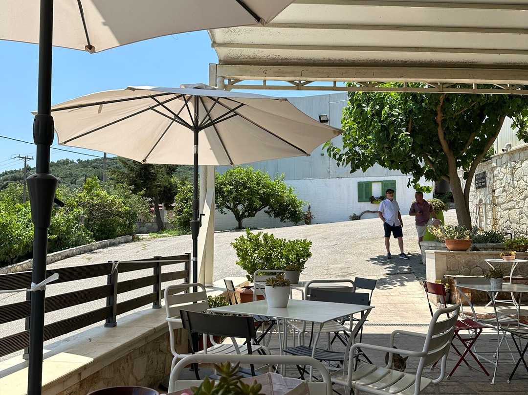 Anoskeli Winery Olive Mill-Anoskeli必去景点
