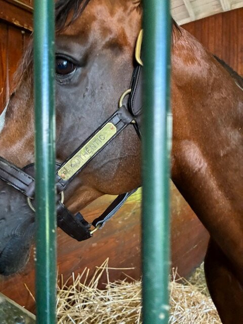 Spendthrift Farm-列克星敦必去景点