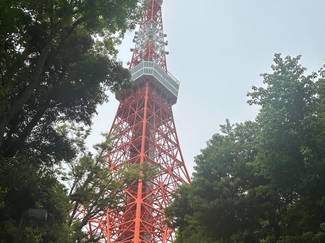 Stunning Tours-西安市必去景点