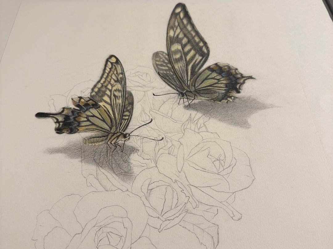 Kamifurano Trick Art Museum-上富良野町必去景点