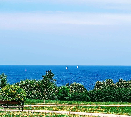 Neway BCN-马洛卡岛必去景点