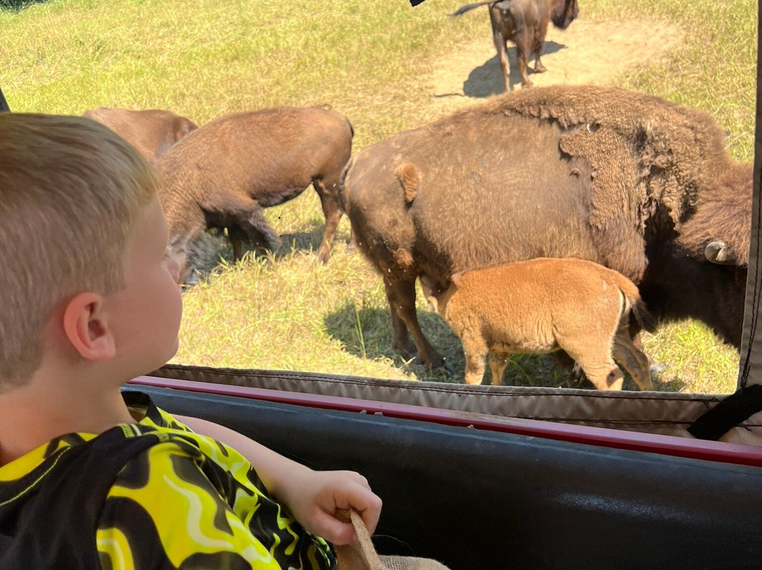 Cook's Bison Ranch-Wolcottville必去景点