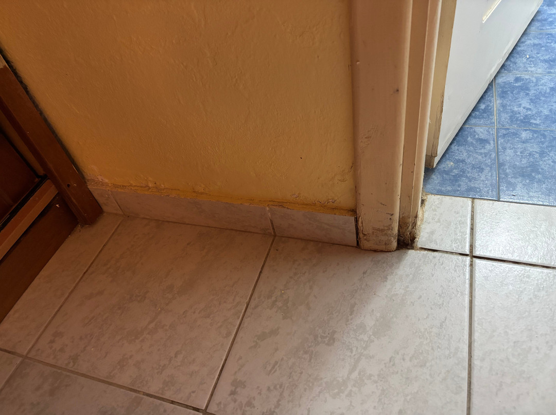 Dedalos Beach Hotel主图