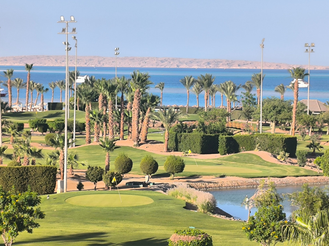 Steigenberger Pure Lifestyle Hotel主图