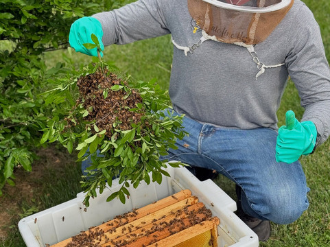 State Line Honey-安提必去景点