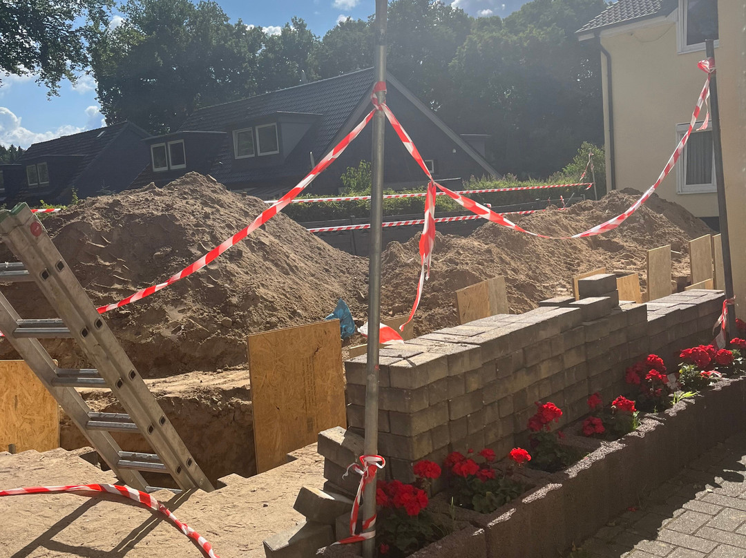 Musa's Grune Tanne主图