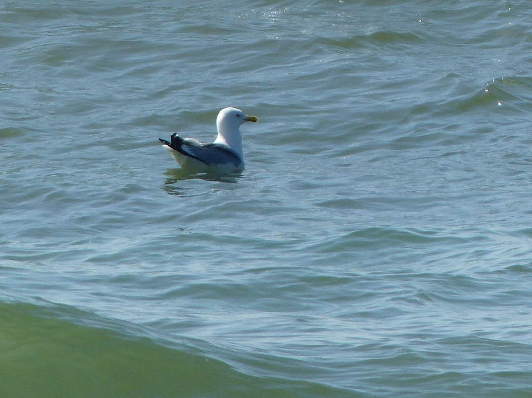 Cave Point County Park-斯特金贝必去景点