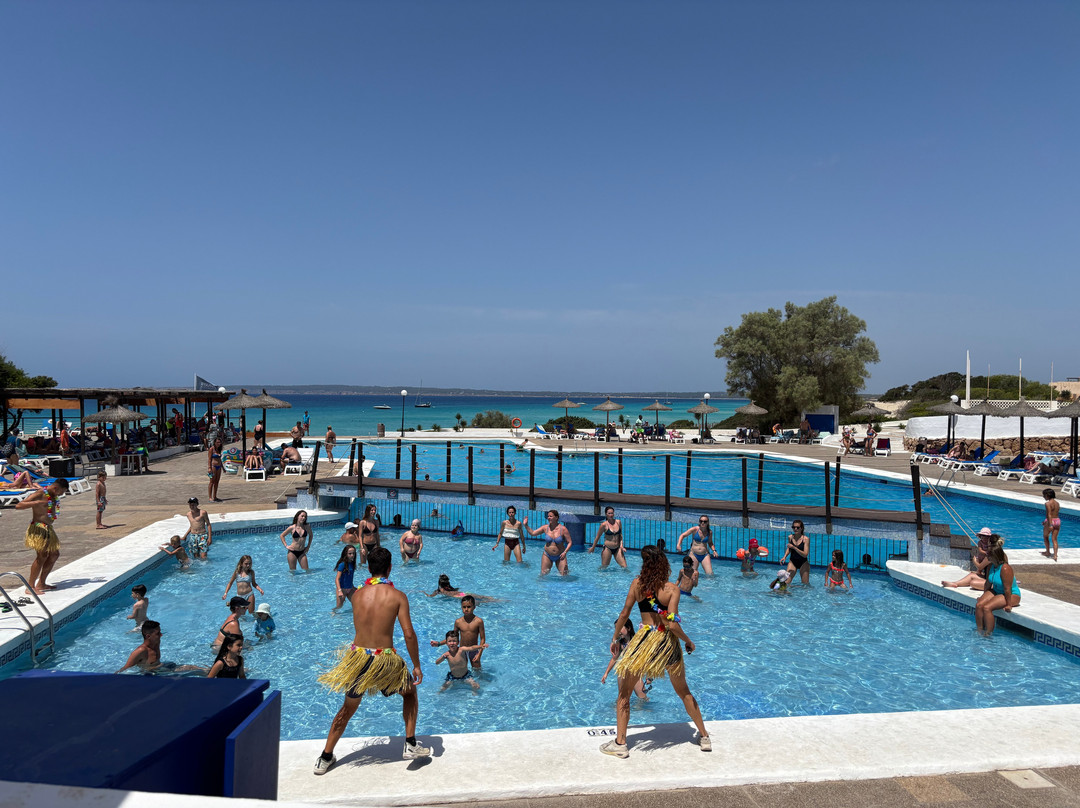 Insotel Club Maryland主图