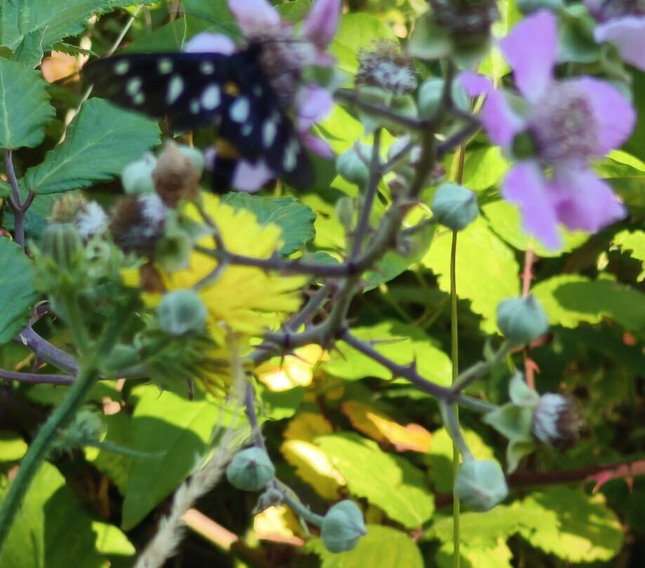 Madonna Del Fiume-Calabritto必去景点