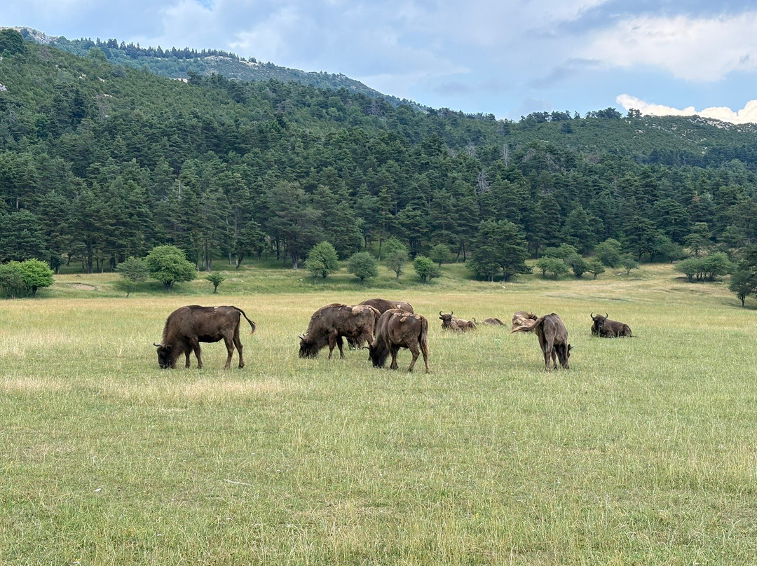 Reserve Biologique des Monts d'Azur-Thorenc必去景点