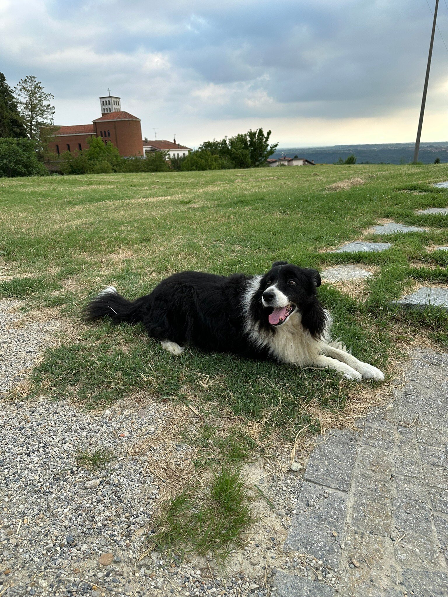 Agriturismo le Viole-官方