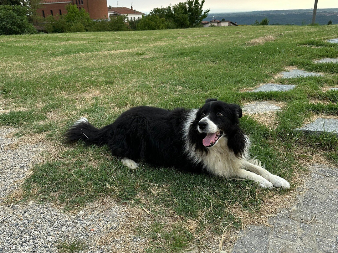Agriturismo le Viole主图
