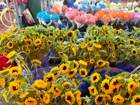 AN Tours Vietnam-胡志明市必去景点