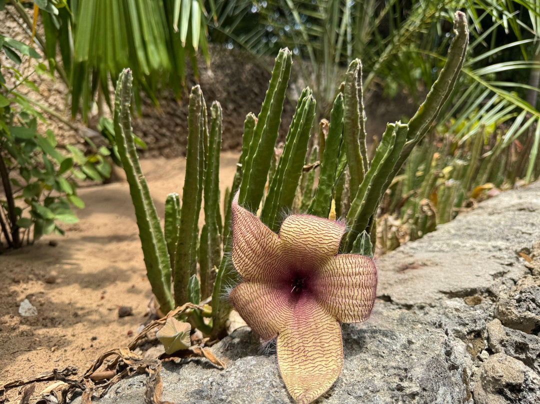 Twende Development and Travel