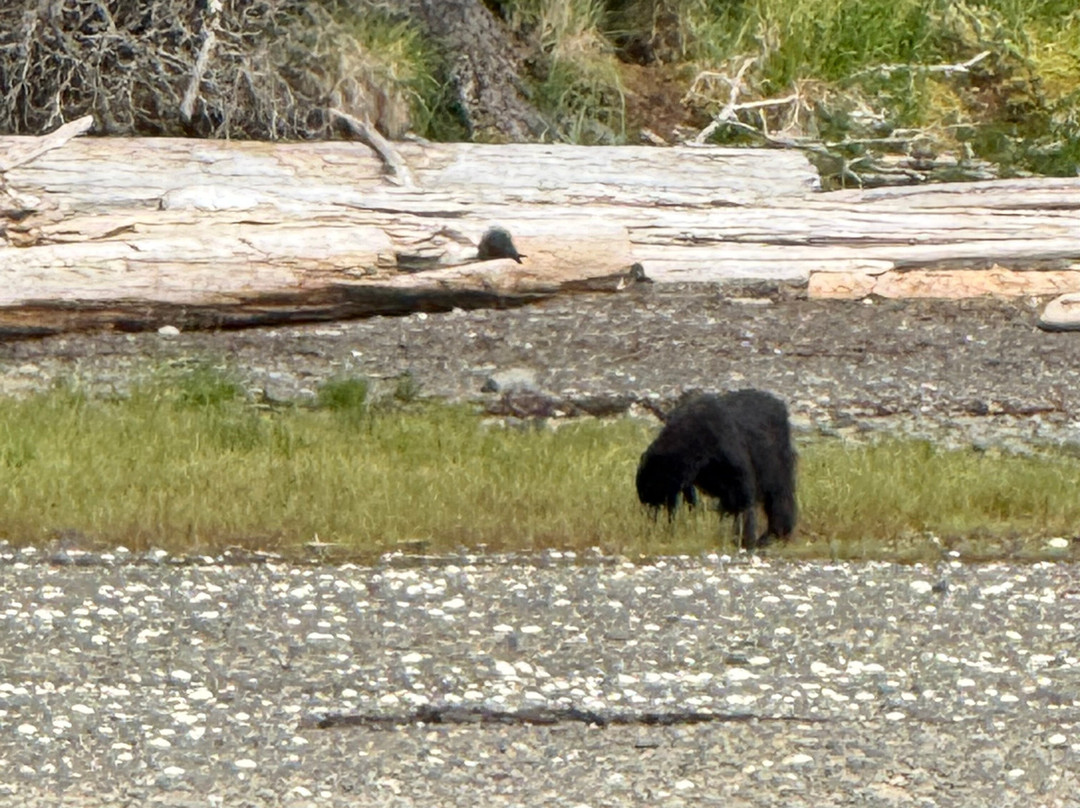Redsky Wildlife Adventures-Klawock必去景点