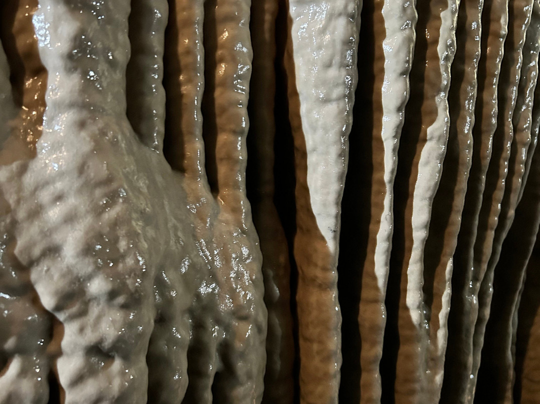 Indian Echo Caverns-Hummelstown必去景点