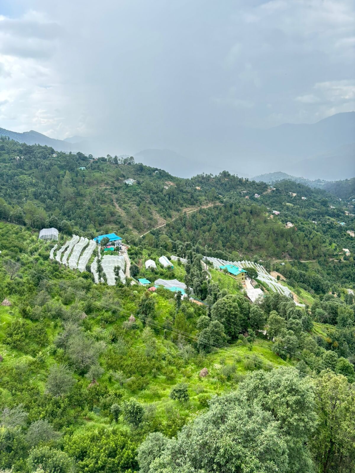 Avenida Himalayan Retreat-酒店景观