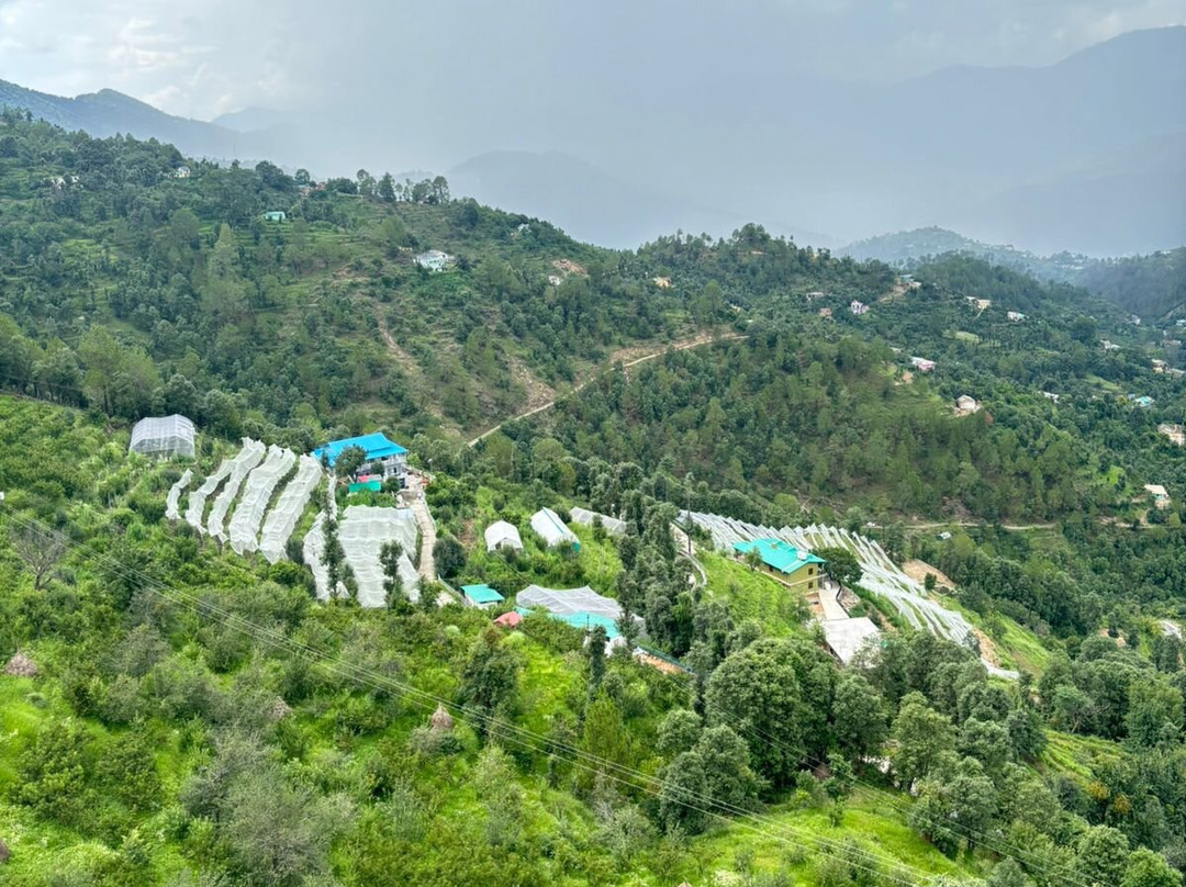 Avenida Himalayan Retreat主图