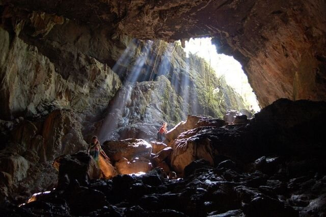 El Cielo International Biosphere Reserve / La Reserva Biosfera El Cielo-Gomez Farias必去景点