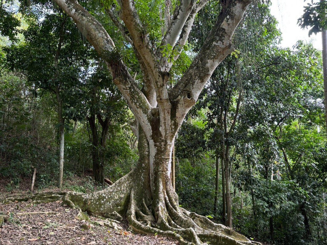 Fazenda Santa Eufrasia-Vassouras必去景点