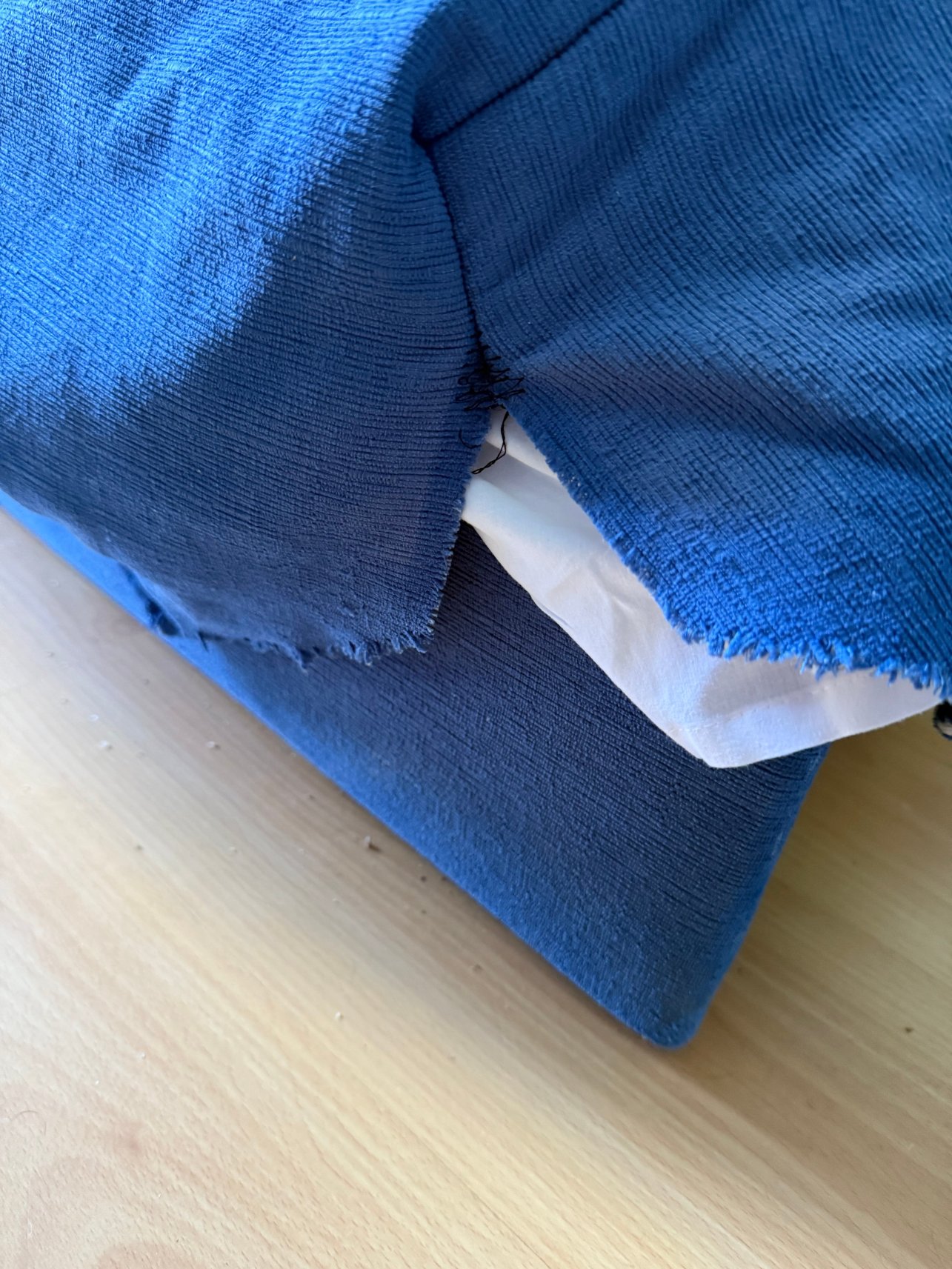 Blaucel酒店-客卧