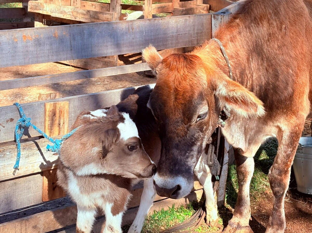 Hotel Fazenda Águas de Lindóia主图