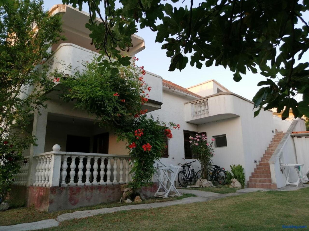 Apartments Petra X