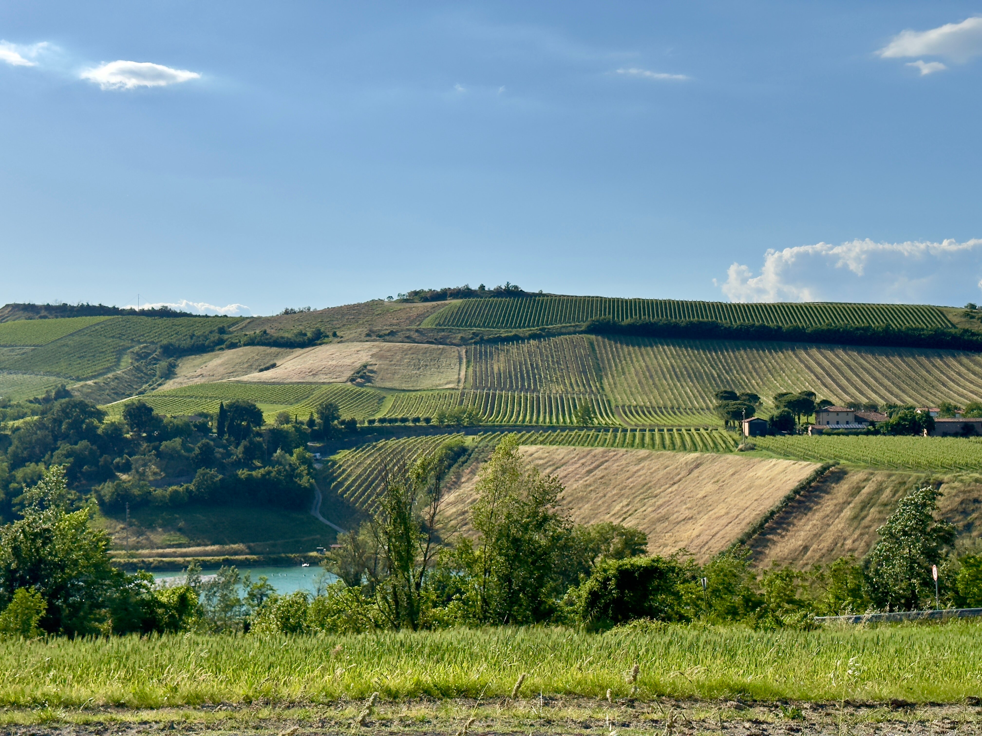 Agriturismo Pedrosola-官方