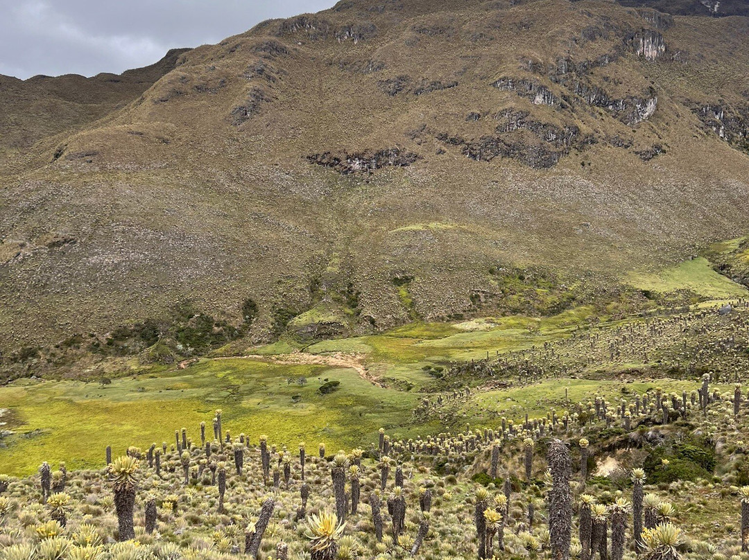 Paramo Trek Salento-萨伦托必去景点