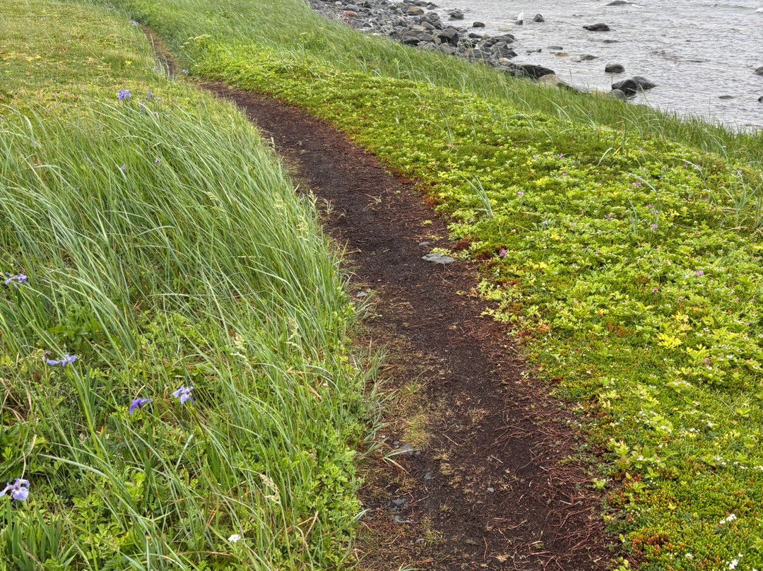 L'Anse Aux Meadows National Historic Site-L'Anse aux Meadows必去景点