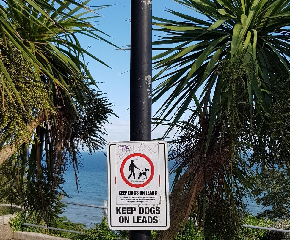 Westward Ho! Hotel主图