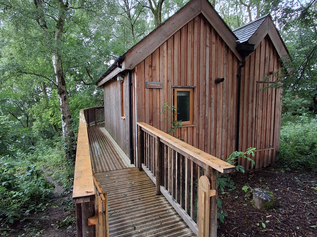 Wildhive Callow Hall主图