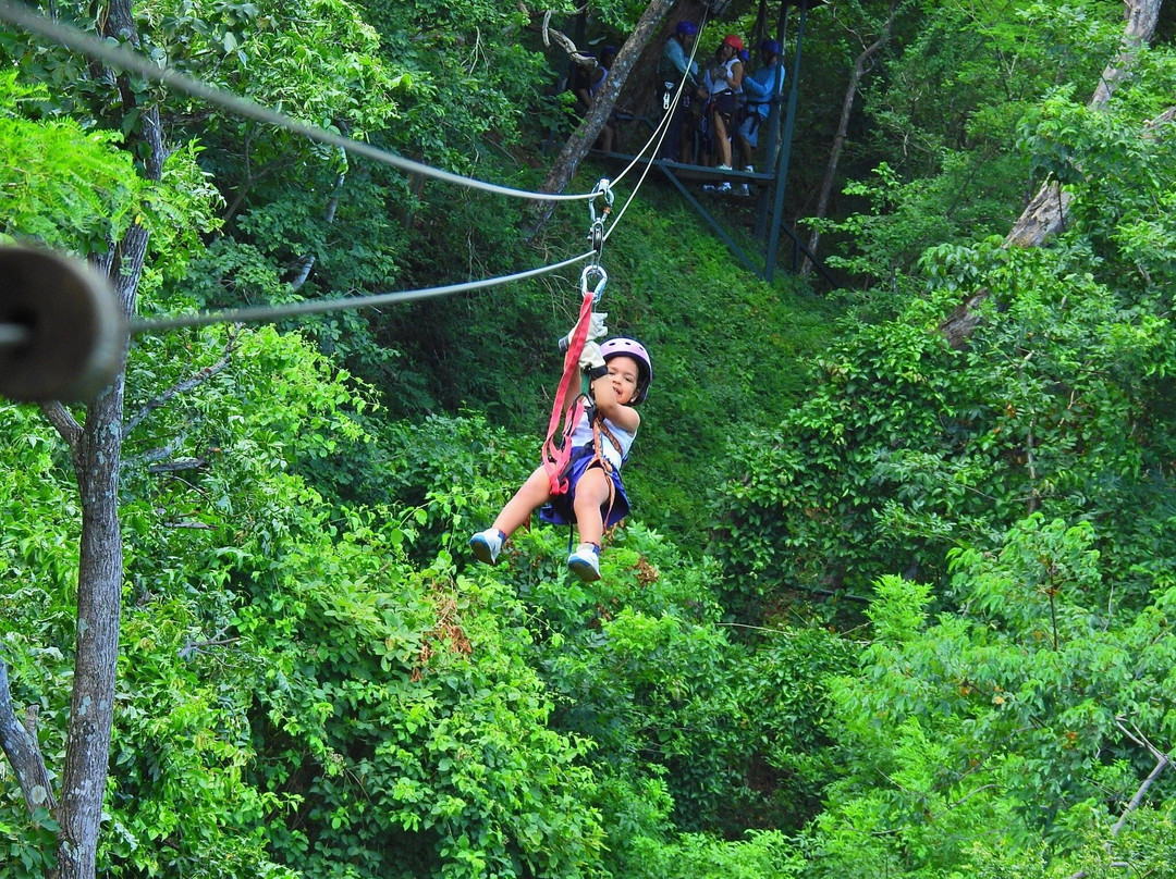 Congo Canopy Tours-Artola必去景点