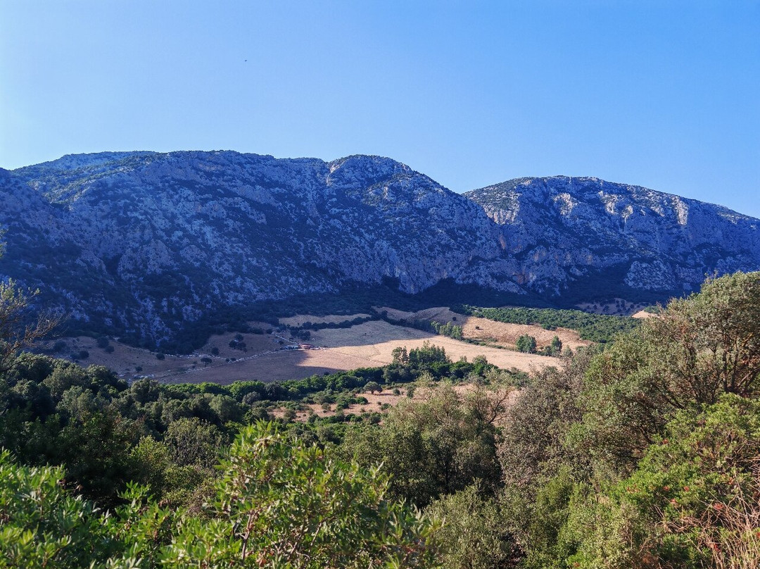 Best Sardinia Trips by Jebel Sardinia-奥罗塞必去景点