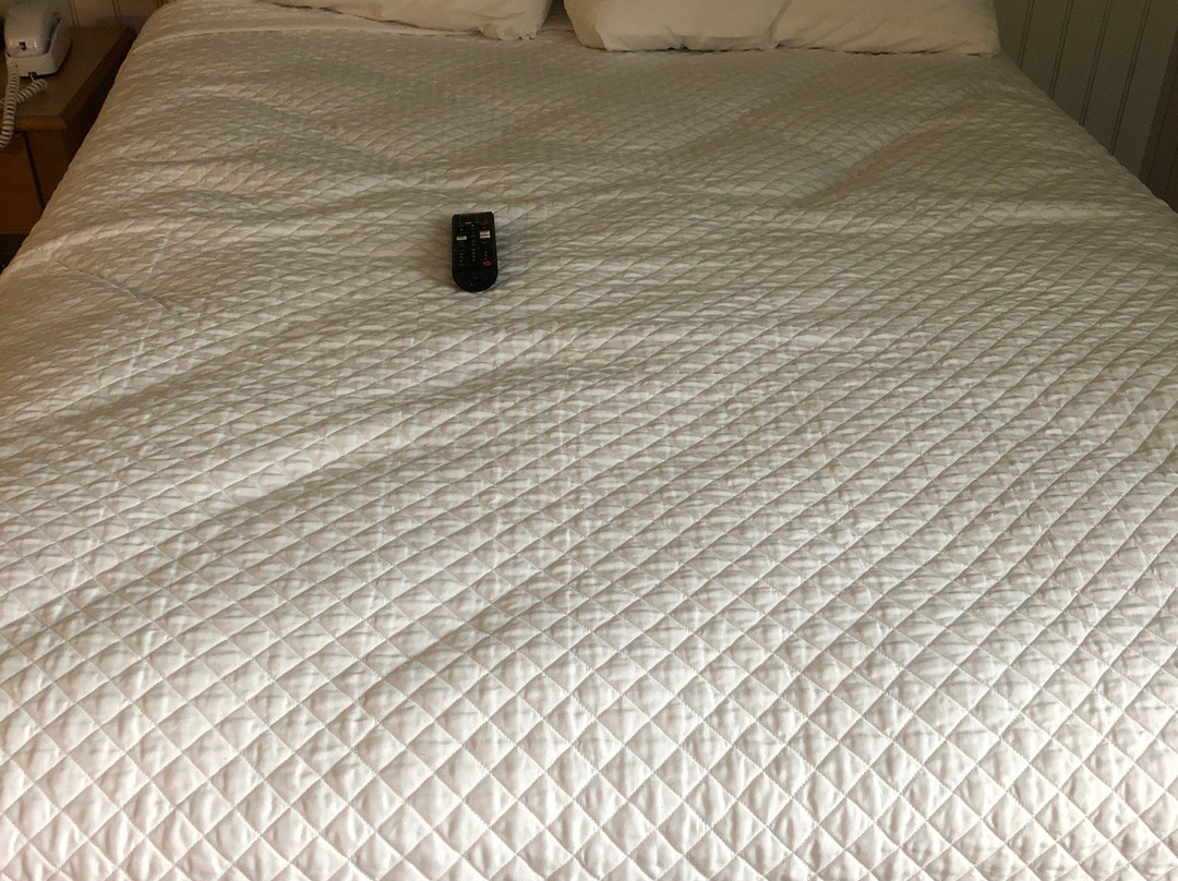 Holly Tree Resort主图