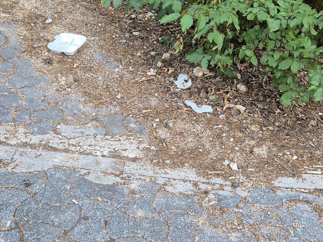 Catak Kanyonu Cam Seyir Terası-Azdavay必去景点