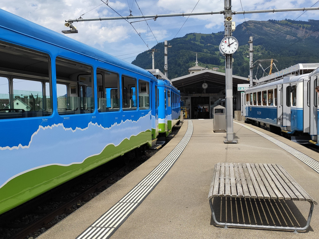 Goldau - Rigi Kulm cogwheel railway-Goldau必去景点