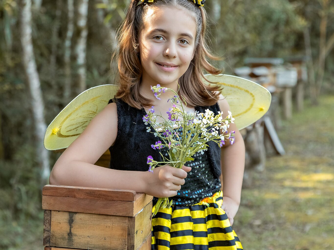 Meliponário Doce Paraíso-Colombo必去景点
